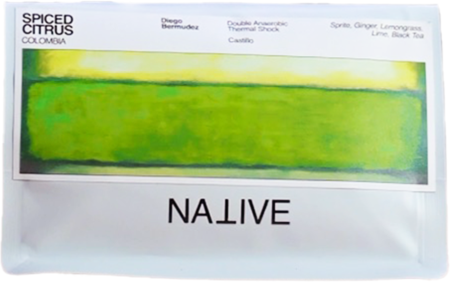 Spiced Citrus - Diego Bermudez